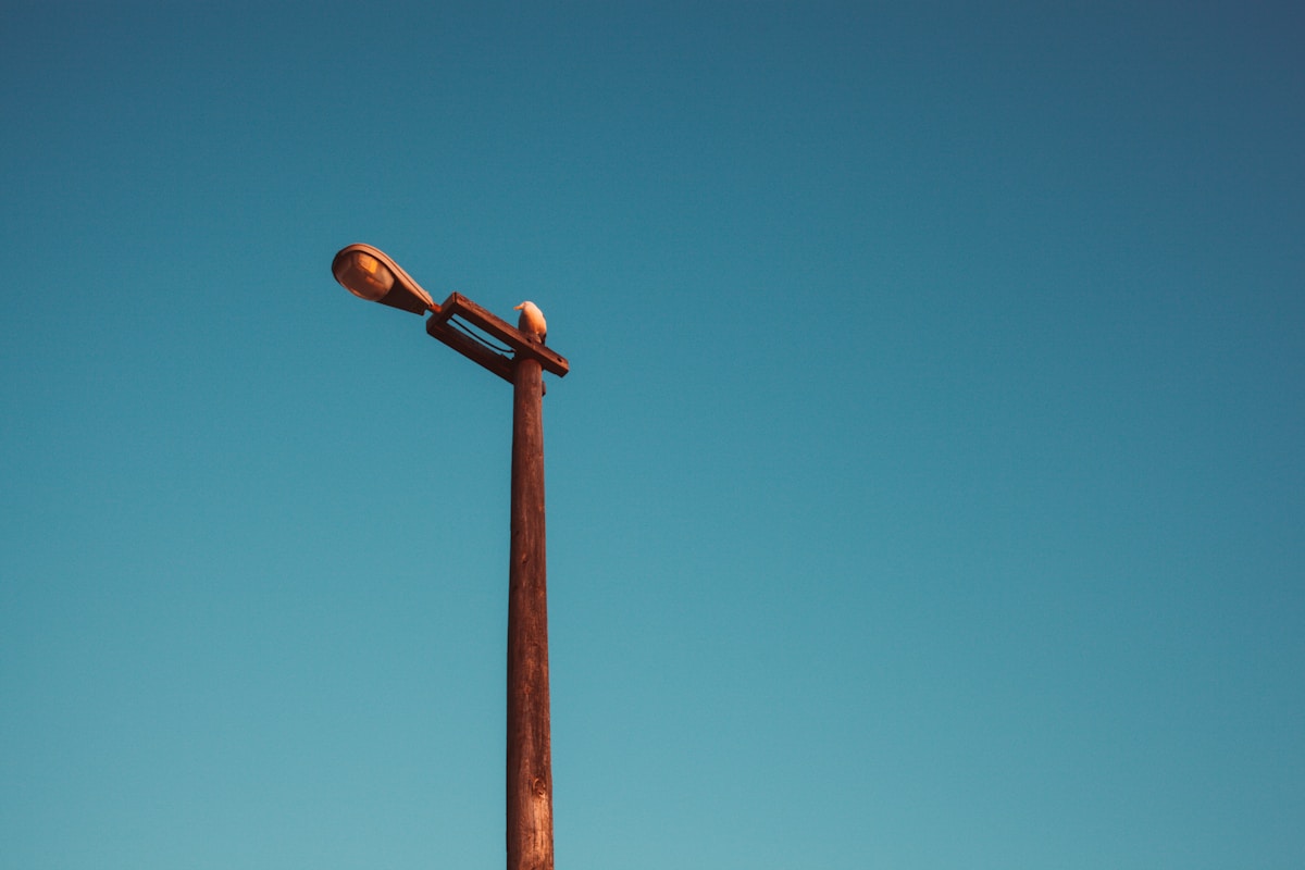 The Importance of Legal Representation